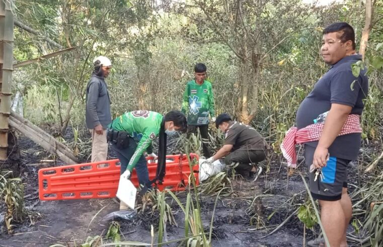 พ่อเฒ่าดับไฟลุกลามเข้าไร่เพื่อนบ้านหมดสติตายคากองเพลิง
