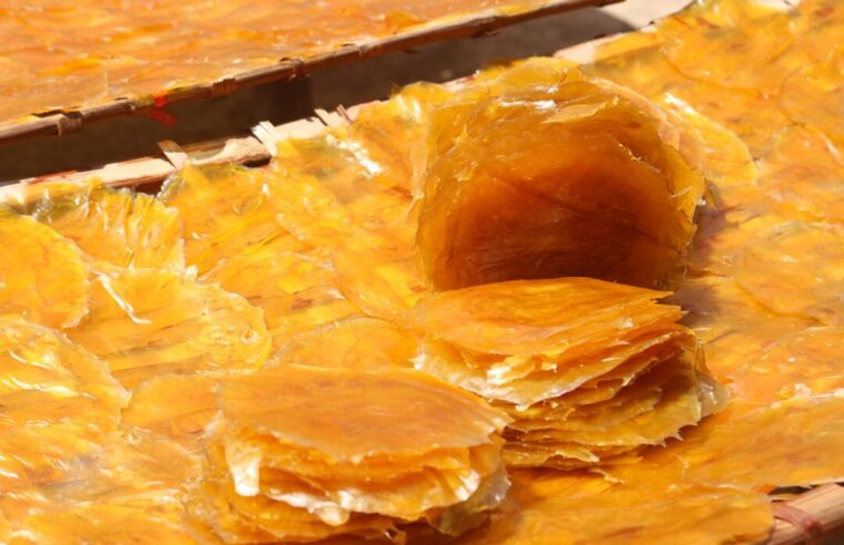 อากาศร้อนส่งผลดีต่อชาวบ้านกลุ่มผู้ผลิตส้มลิ้ม