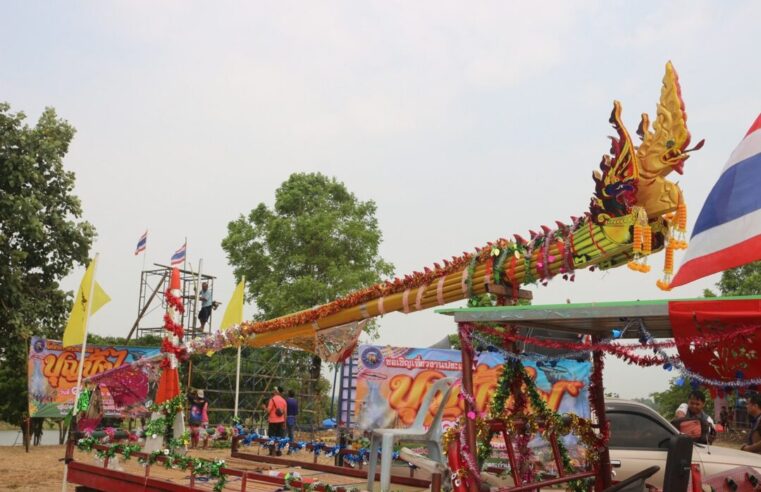 ชาวบางระกำสืบสานงานประเพณีบุญบั้งไฟขอฝนให้ตกตามฤดู