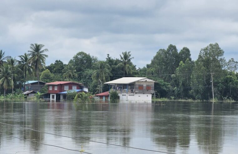 น้ำยมสายเก่าเอ่อล้นตลิ่งท่วมบ้านประชาชนที่พรหมพิราม