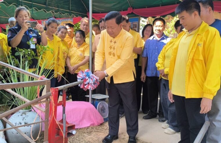 จัดการขยะด้วยตนเองโดยไม่พึ่งหน่วยงานราชการ