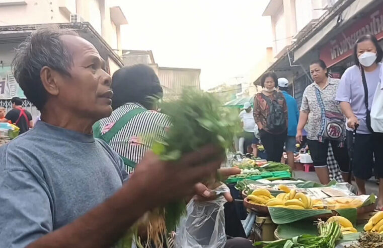 ลุงนกเล็กขุดไข่มดดินขายรายได้ดีทุกปี