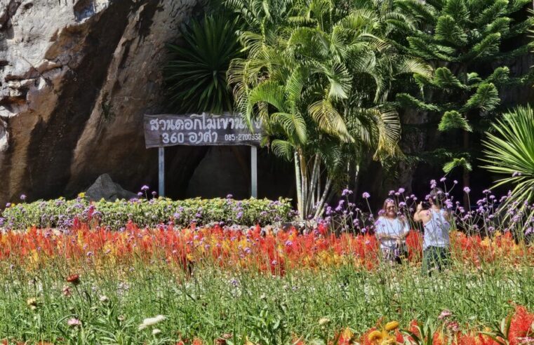 ชวนเที่ยวเขาน้อย 360 องศา ดอกไม้บานสะพรั่งรับลมหนาว